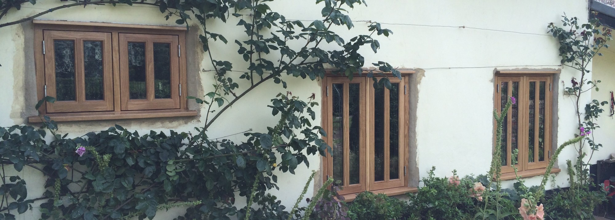 Oak Windows